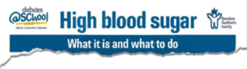 Diabetes at School banner: "High blood sugar — what it is and what to do"